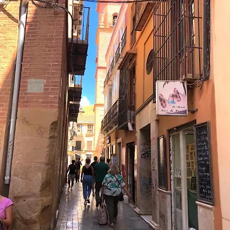 Apartman La Gitana Y El Rey Sol Málaga