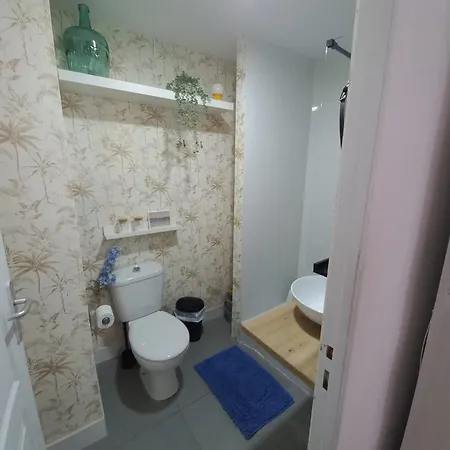 Apartman La Gitana Y El Rey Sol Málaga