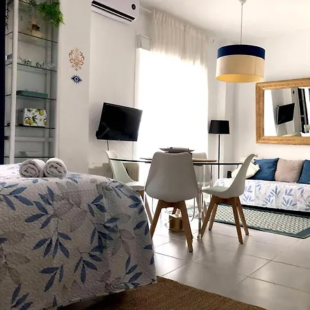 La Gitana Y El Rey Sol Apartment Malaga